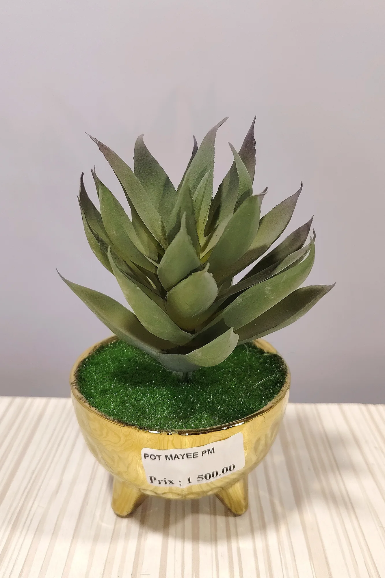 مزهريات ورد