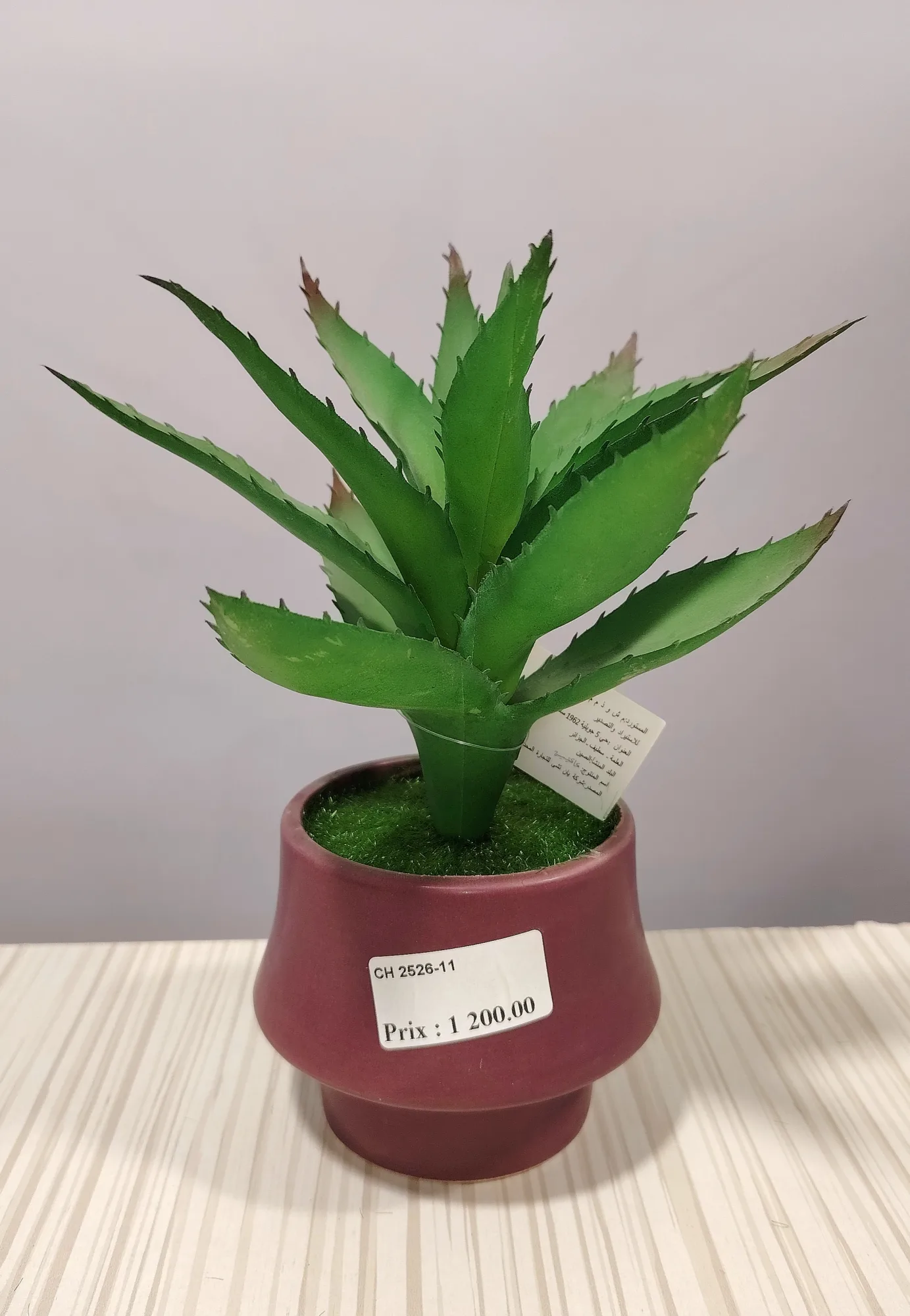 مزهريات ورد