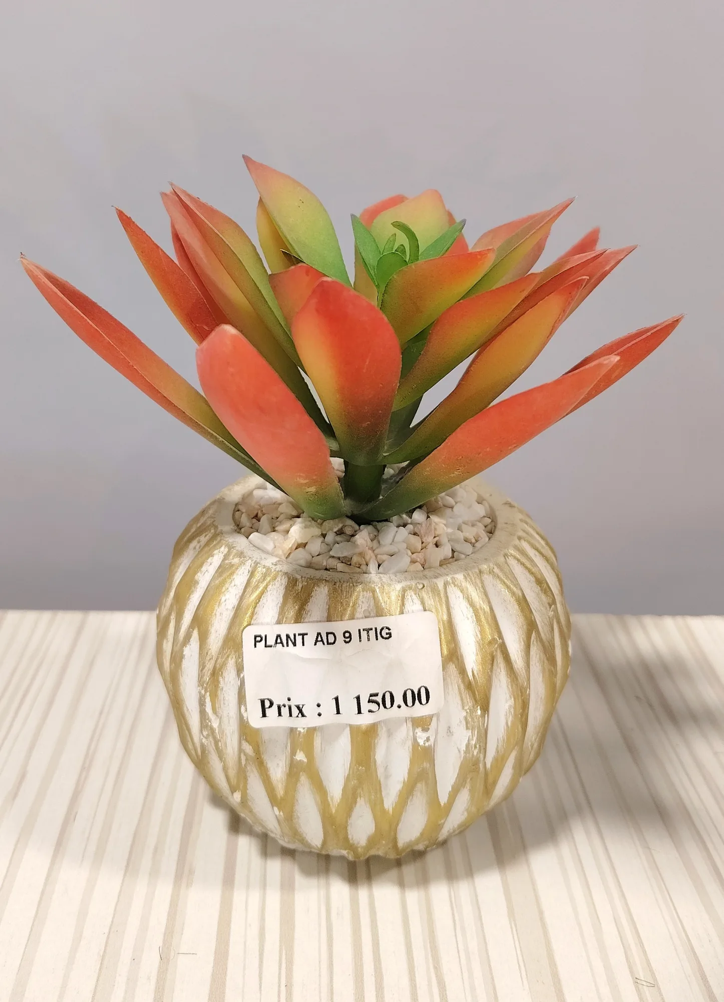 مزهريات ورد