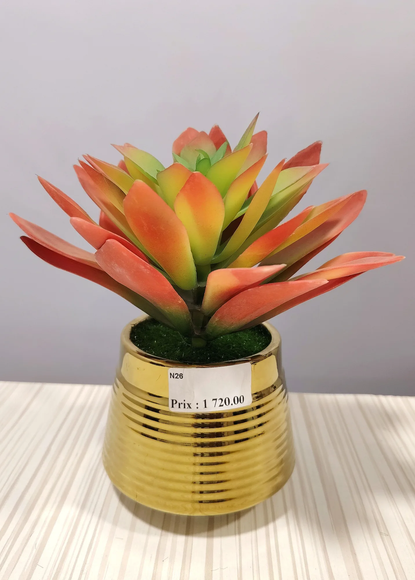 مزهريات ورد