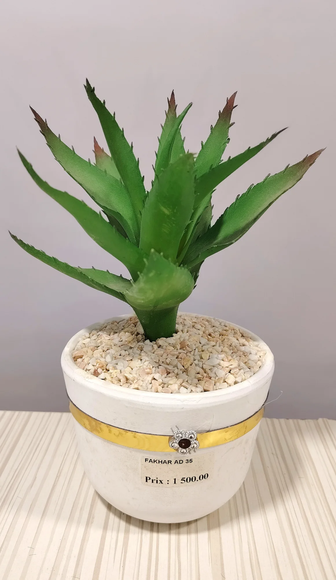 مزهريات ورد