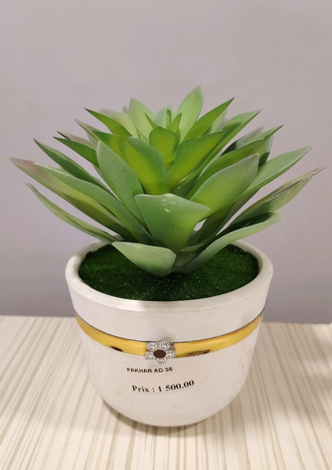 مزهريات ورد