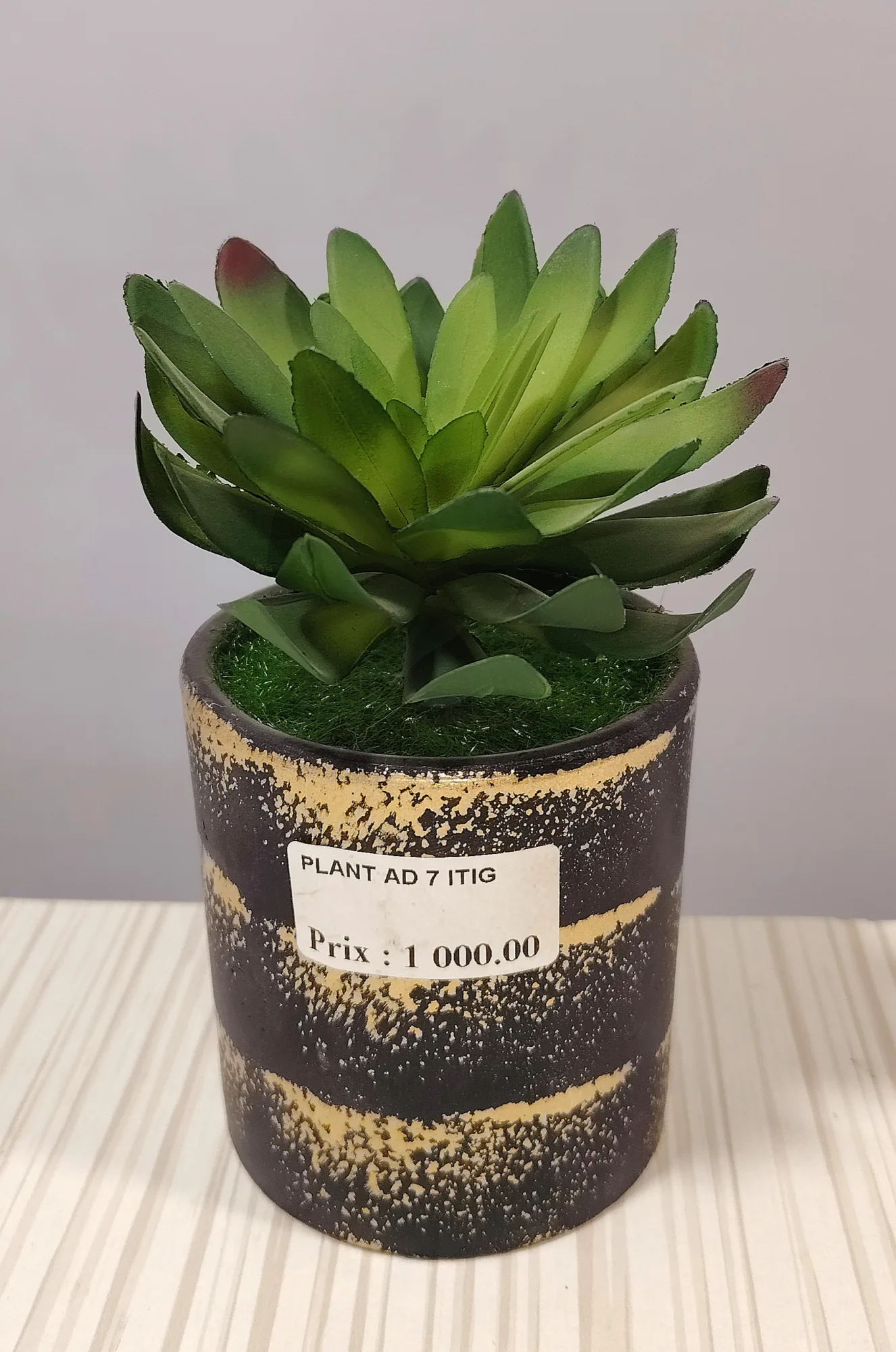 مزهريات ورد