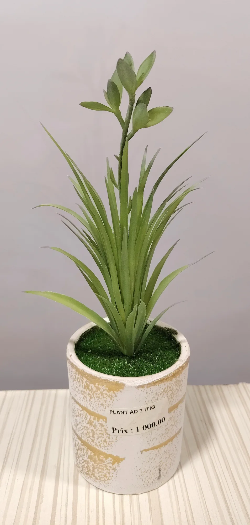 مزهريات ورد