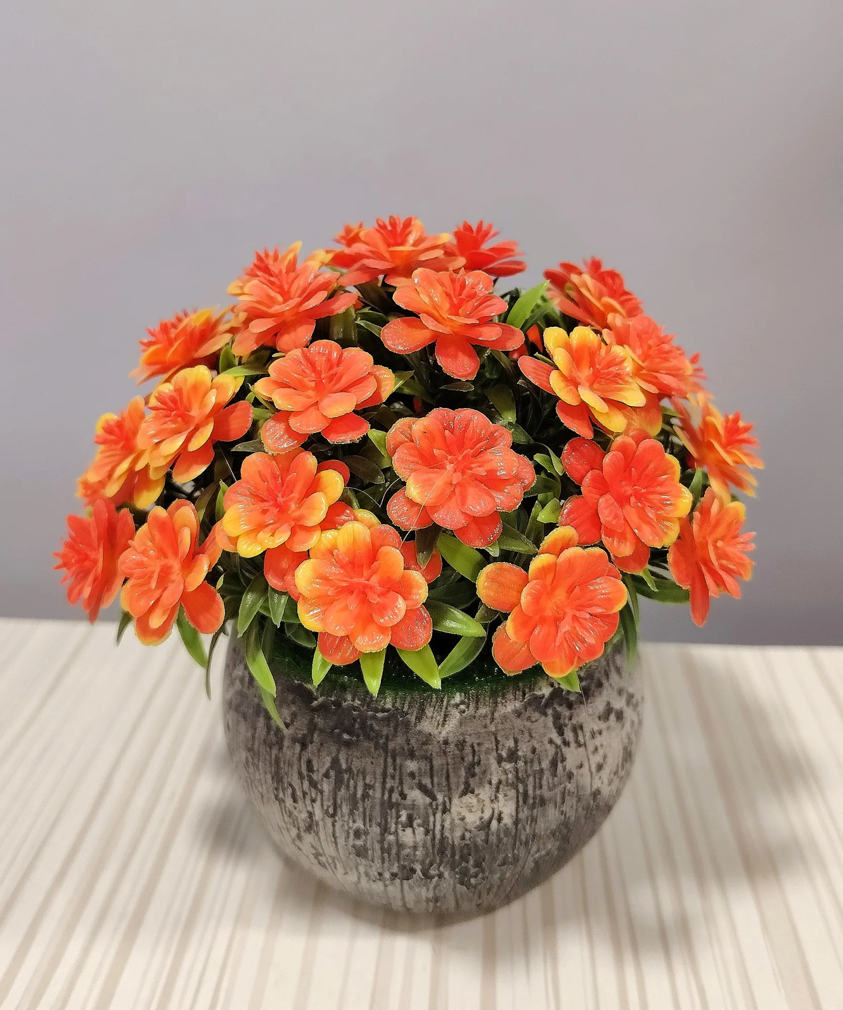 مزهريات ورد