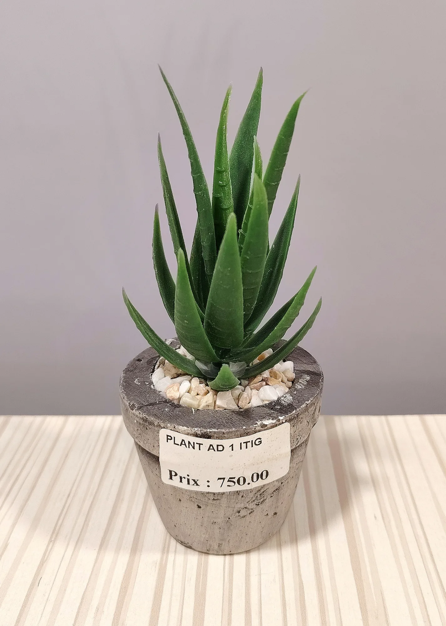 مزهريات ورد