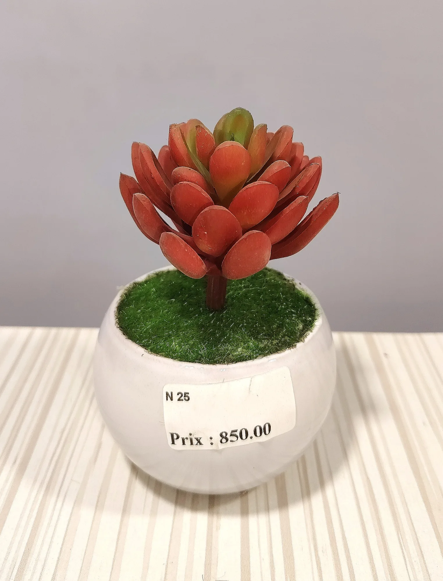 مزهريات ورد